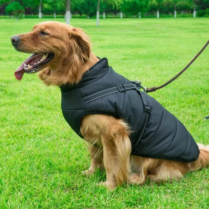 Hundefrakke | Vandtæt, Varm Jakke til Hunde | Stilfuld Design, Komfort, Alle Størrelser Pet Apparel Danmarkmode.dk