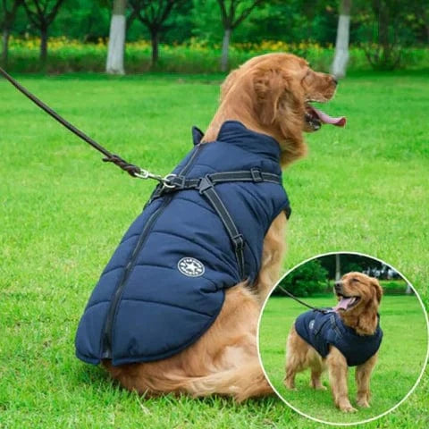 Hundefrakke | Vandtæt, Varm Jakke til Hunde | Stilfuld Design, Komfort, Alle Størrelser Pet Apparel Danmarkmode.dk
