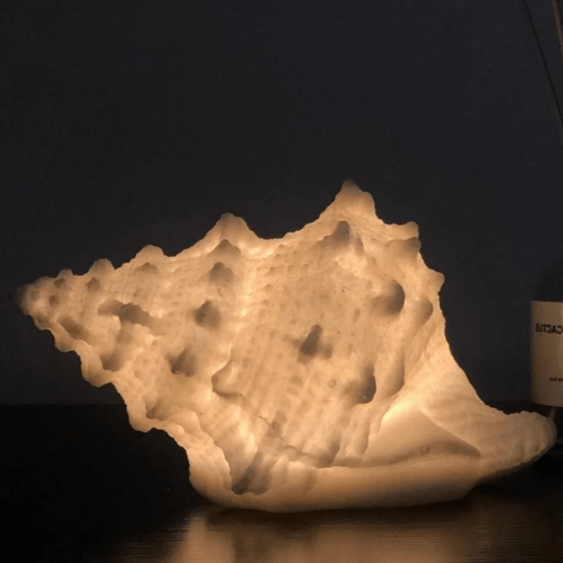 VBærbar Muslingeskaller Natlampe - Batteridrevet Lampe - Varm Hvid - Resin Table Lamp Danmarkmode.dk