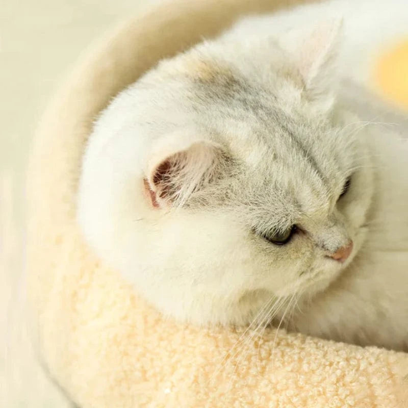 2 i 1 Varm Katteseng og Kradser - Sisal - Skridsikker - Minimalistisk Cat Scratchers & Scratching Posts Danmarkmode.dk