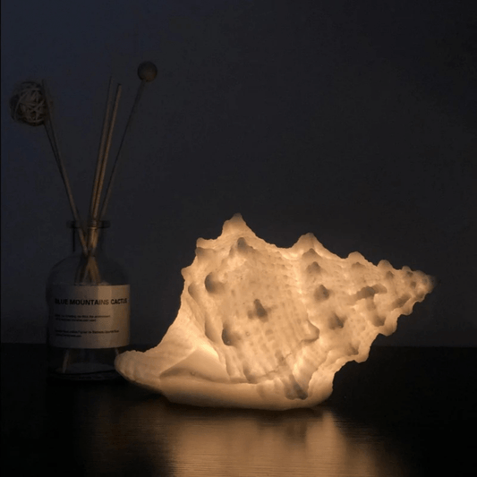 VBærbar Muslingeskaller Natlampe - Batteridrevet Lampe - Varm Hvid - Resin Table Lamp Danmarkmode.dk
